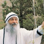 Osho on Bamboo and Zen