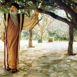 Osho-on-Jails-Prison Osho on Jails (Prison)