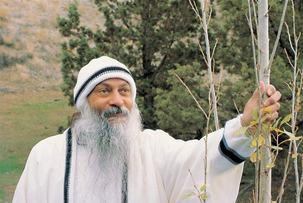 Osho on Zazen – Just because of zazen, monasteries came into existence