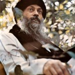 Osho on Work and Meditation