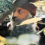 Osho on Joshu and Consciousness