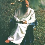 Osho on Gradual and Sudden Enlightenment