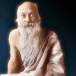Osho on Sex and Celibacy