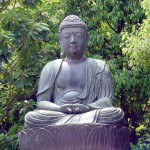 Osho-Buddha-MAJJHIM-NIKAYA Osho on Buddha MAJJHIM NIKAYA Path