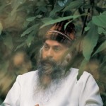 Osho on Effort and effortlessness