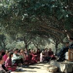 Osho on Gurus work